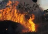 Fumaça encobre Manaus, vinda de incêndios de grandes proporções Fumaça encobre Manaus, vinda de incêndios de grandes proporções