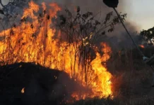 Fumaça encobre Manaus, vinda de incêndios de grandes proporções Fumaça encobre Manaus, vinda de incêndios de grandes proporções