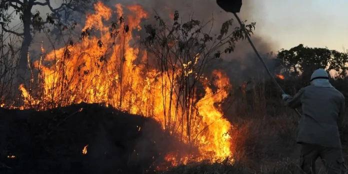 Fumaça encobre Manaus, vinda de incêndios de grandes proporções Fumaça encobre Manaus, vinda de incêndios de grandes proporções