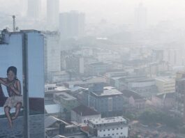 Fumaça de queimada que encobre Manaus traz alerta para riscos à saúde Fumaça de queimada que encobre Manaus traz alerta para riscos à saúde