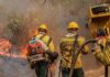 Queimadas levam 36 cidades do AM a reconhecer situação de emergência Queimadas levam 36 cidades do AM a reconhecer situação de emergência