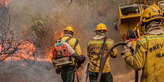 Queimadas levam 36 cidades do AM a reconhecer situação de Queimadas levam 36 cidades do AM a reconhecer situação de emergência