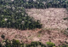 Conheça as propostas de Lula e Flávio para enfrentar a crise climática Conheça as propostas de Lula e Flávio para enfrentar a crise climática