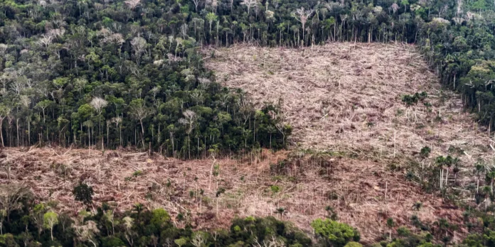 Conheça as propostas de Lula e Flávio para enfrentar a crise climática