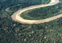 Inpe: desmatamento na Amazônia atinge menor nível de série histórica Inpe: desmatamento na Amazônia atinge menor nível de série histórica