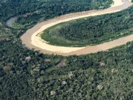 Inpe: desmatamento na Amazônia atinge menor nível de série histórica Inpe: desmatamento na Amazônia atinge menor nível de série histórica