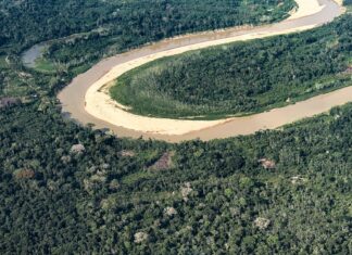 Inpe: desmatamento na Amazônia atinge menor nível de série histórica Inpe: desmatamento na Amazônia atinge menor nível de série histórica