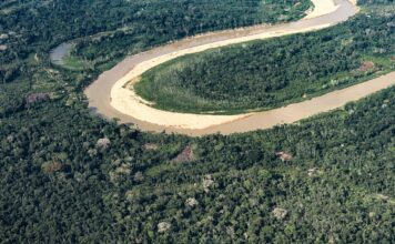 Inpe: desmatamento na Amazônia atinge menor nível de série histórica Inpe: desmatamento na Amazônia atinge menor nível de série histórica