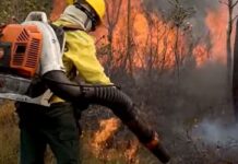 Veja os planos de Flávio e Lula para as cidades e manejo do fogo Veja os planos de Flávio e Lula para as cidades e manejo do fogo
