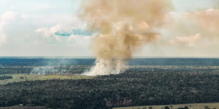 Amazonas: Governo federal envia aeronaves e reforça combate ao fogo Amazonas: Governo federal envia aeronaves e reforça combate ao fogo