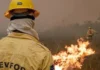 Plano de ação contra incêndios no Amazonas terá R$ 14 milhões Plano de ação contra incêndios no Amazonas terá R$ 14 milhões
