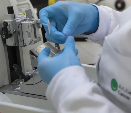 SUS passa a contar com novos medicamentos contra o câncer SUS passa a contar com novos medicamentos contra o câncer