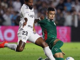Brasileirão: Palmeiras fica no zero com o Santos e Flamengo agradece Brasileirão: Palmeiras fica no zero com o Santos e Flamengo agradece