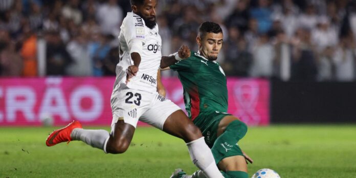 Brasileirão: Palmeiras fica no zero com o Santos e Flamengo Brasileirão: Palmeiras fica no zero com o Santos e Flamengo agradece