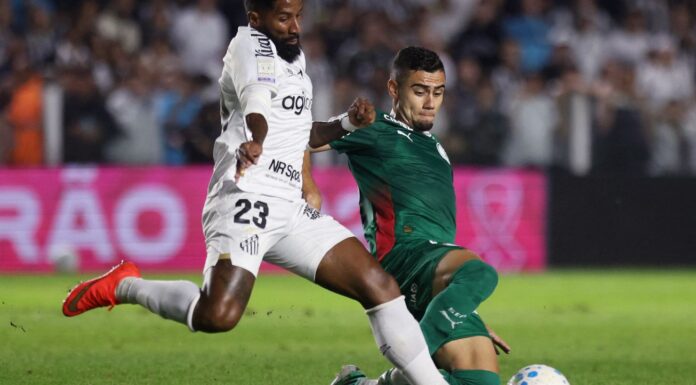 Brasileirão: Palmeiras fica no zero com o Santos e Flamengo agradece Brasileirão: Palmeiras fica no zero com o Santos e Flamengo agradece