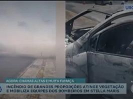 Incêndio Atinge Terreno Em Stella Maris E Assusta Moradores Da Região