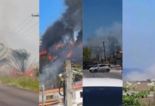 Queimadas Atingem Salvador E Interior Da Bahia; Calor E Tempo Seco Aumentam Riscos