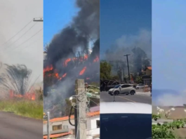 Queimadas Atingem Salvador E Interior Da Bahia; Calor E Tempo Seco Aumentam Riscos