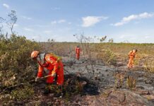 Bahia Prevê Temperaturas Acima De 41 °C E Reforça Alertas De Calor E Incêndios